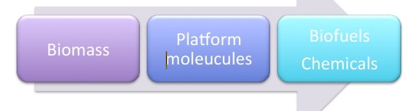 Kovacs research: progress arrow